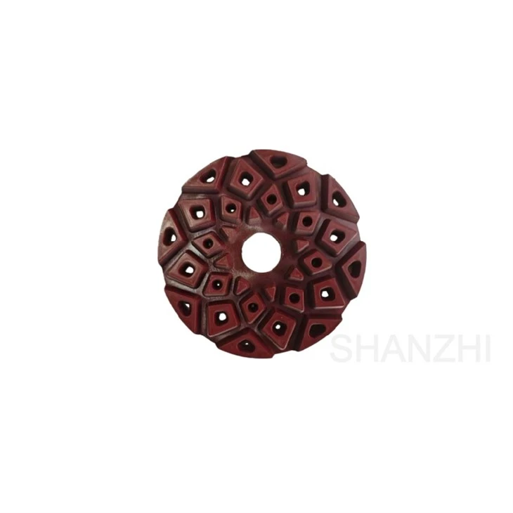 Diamond polishing wheel with Snail Lock system